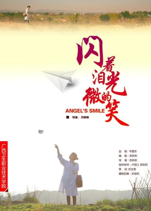 克劳斯塔尔工业大学文凭